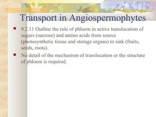 Transport in Angiospermophytes
 9.2.11 Outline the role of phloem in active translocation of
sugars (sucrose) and amino acids from source
(photosynthetic tissue and storage organs) to sink (fruits,
seeds, roots).
 No detail of the mechanism of translocation or the structure
of phloem is required.
 