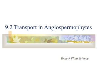 9.2 Transport in Angiospermophytes
Topic 9 Plant Science
 