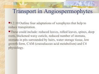 Transport in Angiospermophytes
9.2.10 Outline four adaptations of xerophytes that help to
reduce transpiration.
These could include: reduced leaves, rolled leaves, spines, deep
roots, thickened waxy cuticle, reduced number of stomata,
stomata in pits surrounded by hairs, water storage tissue, low
growth form, CAM (crassulacean acid metabolism) and C4
physiology.
 