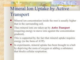 Mineral Ion Uptake by Active
Transport
 Mineral ion concentration inside the root is usually higher
that in the surrounding soil.
 Thus mineral ions are taken up by Active Transport
(requiring energy to move ions against the concentration
gradient).
 This is supported by the fact that mineral uptake requires
energy (in the form of ATP).
 In experiments, mineral uptake has been brought to a halt
by depriving the roots of oxygen or adding a substance
that blocks cellular respiration.
 