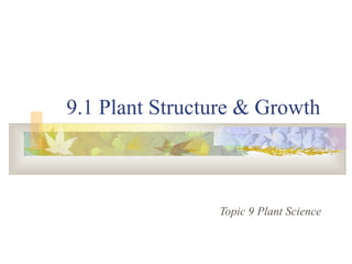 9.1 Plant Structure & Growth
Topic 9 Plant Science
 