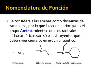  Se considera a las aminas como derivadas del
Amoniaco, por lo que la cadena principal es el
grupo Amino, mientras que los radicales
hidrocarbúricos son sólo sustituyentes que
deben mencionarse en orden alfabético.
Metilamina
N
H
Etil metil amina
N
Ciclohexil etil metil amina
NH2
 