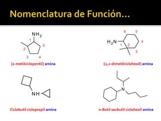 NH2 1
6
2
5
3
4
[2,2-dimetilciclohexil] amina[2-metilciclopentil] amina
Ciclobutil ciclopropil amina
NH
N
n-Butil secbutil ciclohexil amina
2
1
3
5
4
NH2
 