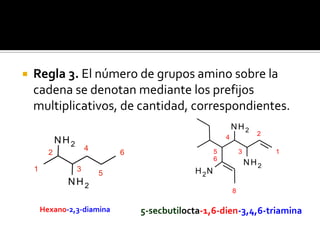  Regla 3. El número de grupos amino sobre la
cadena se denotan mediante los prefijos
multiplicativos, de cantidad, correspondientes.
5-secbutilocta-1,6-dien-3,4,6-triamina
5
4
3
2
1
6
8
NH2
NH2
NH2
1
2
3
4
5
6
NH2
NH2
Hexano-2,3-diamina
 