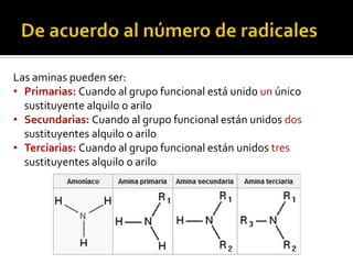 Las aminas pueden ser:
• Primarias: Cuando al grupo funcional está unido un único
sustituyente alquilo o arilo
• Secundarias: Cuando al grupo funcional están unidos dos
sustituyentes alquilo o arilo
• Terciarias: Cuando al grupo funcional están unidos tres
sustituyentes alquilo o arilo
 