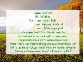 โครงงานวิทยาศาสตร์
เรื่อง โคมไฟวิเศษ
โดย 1. นางสาวเกศสุดา ใจเอื้อ
2. นางสาวกัญญาณัฐ วันทนียวงค์
3. นางสาวพัชริดา พลกุลอนุสรณ์
โรงเรียนยุพราชวิทยาลัย อาเภอ เมือง จังหวัด เชียงใหม่
รายงานฉบับนี้เป็นส่วนประกอบของโครงงานวิทยาศาสตร์
ระดับมัธยมศึกษาตอนปลาย สาขาวิชาวิทยาศาสตร์ประยุกต์
ในการประกวดโครงงานวิทยาศาสตร์ เนื่องในงานสัปดาห์วิทยาศาสตร์แห่งชาติ
วันที่ 18 – 20 สิงหาคม พ.ศ. 2556 ณ คณะวิทยาศาสตร์ มหาวิทยาลัยเชียงใหม่
จัดโดยสมาคมวิทยาศาสตร์แห่งประเทศไทยในพระบรมราชูปถัมภ์
 