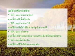 ปลูกไม้ดอกไม้ประดับที่บ้าน
• วิธีที่ 1 ปลูกในกระถางดินเผา
เกณฑ์ที่เลือกใช้พื้นที่มีจากัด
• วิธีที่ 2 ปลูกในกระบะไม้
เกณฑ์ที่เลือกใช้เป็นไม้ที่สามารถปลูกในกระบะได้
• วิธีที่ 3 ปลูกในร่องสวน
เกณฑ์ที่เลือกใช้ขนาดของร่องสวนและขนาดต้นไม้ที่พอดีกับร่องสวน
• วิธีที่ 4 ปลูกพื้นที่ข้างบ้าน
เกณฑ์ที่เลือกใช้เป็นไม้ที่สวยงาม ดูแลง่าย
 