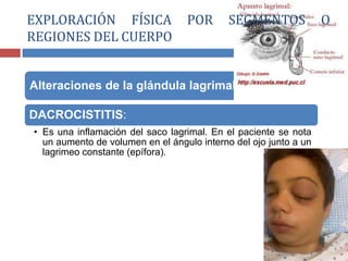 Alteraciones de la glándula lagrimal:
DACROCISTITIS:
• Es una inflamación del saco lagrimal. En el paciente se nota
un aumento de volumen en el ángulo interno del ojo junto a un
lagrimeo constante (epífora).
EXPLORACIÓN FÍSICA POR SEGMENTOS O
REGIONES DEL CUERPO
 