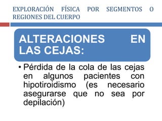 ALTERACIONES EN
LAS CEJAS:
• Pérdida de la cola de las cejas
en algunos pacientes con
hipotiroidismo (es necesario
asegurarse que no sea por
depilación)
EXPLORACIÓN FÍSICA POR SEGMENTOS O
REGIONES DEL CUERPO
 