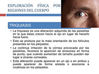 TRIQUIASIS
• La triquiasis es una alteración adquirida de las pestañas
en la que éstas crecen hacia el ojo en lugar de hacerlo
hacia fuera.
• Esto se produce por la mala orientación de los folículos
presentes en los párpados.
• La continua irritación de la córnea provocada por las
pestañas, favorece la aparición de erosiones en forma
de punto, que cuando aumentan de tamaño pueden dar
lugar a úlceras corneales.
• Esta alteración puede aparecer en un ojo o en ambos y
puede aparecer de forma aislada o asociarse a
cicatrices en los párpados.
EXPLORACIÓN FÍSICA POR SEGMENTOS O
REGIONES DEL CUERPO
 
