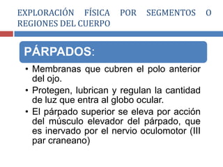 PÁRPADOS:
• Membranas que cubren el polo anterior
del ojo.
• Protegen, lubrican y regulan la cantidad
de luz que entra al globo ocular.
• El párpado superior se eleva por acción
del músculo elevador del párpado, que
es inervado por el nervio oculomotor (III
par craneano)
EXPLORACIÓN FÍSICA POR SEGMENTOS O
REGIONES DEL CUERPO
 