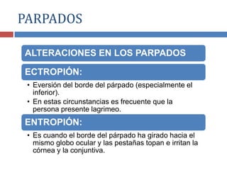 ALTERACIONES EN LOS PARPADOS
ECTROPIÓN:
• Eversión del borde del párpado (especialmente el
inferior).
• En estas circunstancias es frecuente que la
persona presente lagrimeo.
ENTROPIÓN:
• Es cuando el borde del párpado ha girado hacia el
mismo globo ocular y las pestañas topan e irritan la
córnea y la conjuntiva.
PARPADOS
 