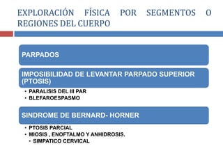 PARPADOS
IMPOSIBILIDAD DE LEVANTAR PARPADO SUPERIOR
(PTOSIS)
• PARALISIS DEL III PAR
• BLEFAROESPASMO
SINDROME DE BERNARD- HORNER
• PTOSIS PARCIAL
• MIOSIS , ENOFTALMO Y ANHIDROSIS.
• SIMPATICO CERVICAL
EXPLORACIÓN FÍSICA POR SEGMENTOS O
REGIONES DEL CUERPO
 