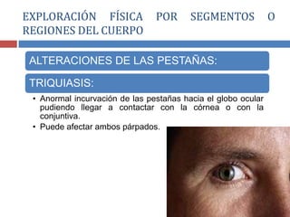 ALTERACIONES DE LAS PESTAÑAS:
TRIQUIASIS:
• Anormal incurvación de las pestañas hacia el globo ocular
pudiendo llegar a contactar con la córnea o con la
conjuntiva.
• Puede afectar ambos párpados.
EXPLORACIÓN FÍSICA POR SEGMENTOS O
REGIONES DEL CUERPO
 