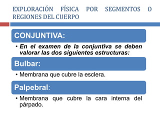 CONJUNTIVA:
• En el examen de la conjuntiva se deben
valorar las dos siguientes estructuras:
Bulbar:
• Membrana que cubre la esclera.
Palpebral:
• Membrana que cubre la cara interna del
párpado.
EXPLORACIÓN FÍSICA POR SEGMENTOS O
REGIONES DEL CUERPO
 