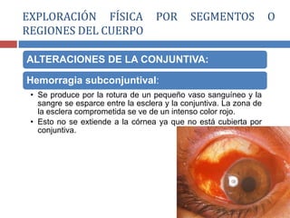 ALTERACIONES DE LA CONJUNTIVA:
Hemorragia subconjuntival:
• Se produce por la rotura de un pequeño vaso sanguíneo y la
sangre se esparce entre la esclera y la conjuntiva. La zona de
la esclera comprometida se ve de un intenso color rojo.
• Esto no se extiende a la córnea ya que no está cubierta por
conjuntiva.
EXPLORACIÓN FÍSICA POR SEGMENTOS O
REGIONES DEL CUERPO
 
