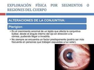 ALTERACIONES DE LA CONJUNTIVA:
Pterigion:
• Es el crecimiento anormal de un tejido que afecta la conjuntiva
bulbar, desde el ángulo interno del ojo en dirección a la
córnea, pudiendo llegar a invadirla.
• No siempre se encuentra un factor predisponente (podría ser más
frecuente en personas que trabajan expuestas a luz solar).
EXPLORACIÓN FÍSICA POR SEGMENTOS O
REGIONES DEL CUERPO
 
