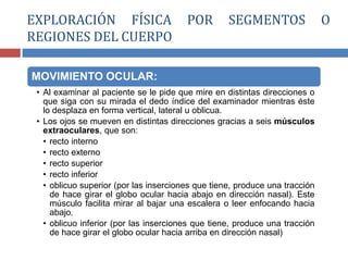 MOVIMIENTO OCULAR:
• Al examinar al paciente se le pide que mire en distintas direcciones o
que siga con su mirada el dedo índice del examinador mientras éste
lo desplaza en forma vertical, lateral u oblicua.
• Los ojos se mueven en distintas direcciones gracias a seis músculos
extraoculares, que son:
• recto interno
• recto externo
• recto superior
• recto inferior
• oblicuo superior (por las inserciones que tiene, produce una tracción
de hace girar el globo ocular hacia abajo en dirección nasal). Este
músculo facilita mirar al bajar una escalera o leer enfocando hacia
abajo.
• oblicuo inferior (por las inserciones que tiene, produce una tracción
de hace girar el globo ocular hacia arriba en dirección nasal)
EXPLORACIÓN FÍSICA POR SEGMENTOS O
REGIONES DEL CUERPO
 