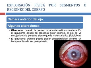 Cámara anterior del ojo.
Algunas alteraciones:
• Glaucoma: cuando la presión intraocular está aumentada. En
el glaucoma agudo se presenta dolor intenso, el ojo se ve
enrojecido y la persona siente que le molesta la luz (fotofobia).
• El glaucoma crónico puede pasar desapercibido durante un
tiempo antes de ser pesquisado.
EXPLORACIÓN FÍSICA POR SEGMENTOS O
REGIONES DEL CUERPO
 