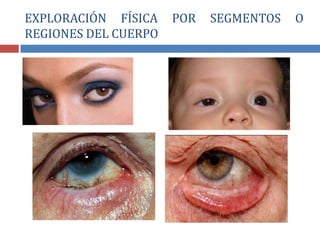 EXPLORACIÓN FÍSICA POR SEGMENTOS O
REGIONES DEL CUERPO
 