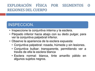 INSPECCION.
• Inspeccione la conjuntiva interna y la esclera.
• Párpado inferior hacia abajo con su dedo pulgar, para
ver la conjuntiva palpebral inferior.
• Observe la apariencia de la esclera expuesta:
• Conjuntiva palpebral: rosada, húmeda y sin lesiones.
• Conjuntiva bulbar; transparente, permitiendo ver a
través de ella la esclera blanca
• Esclera normal: blanca, tinte amarillo pálido en
algunos sujetos negros.
EXPLORACIÓN FÍSICA POR SEGMENTOS O
REGIONES DEL CUERPO
 