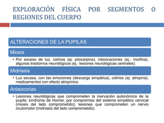 ALTERACIONES DE LA PUPILAS
Miosis
• Por exceso de luz, colirios (ej: pilocarpina), intoxicaciones (ej.: morfina),
algunos trastornos neurológicos (ej.: lesiones neurológicas centrales).
Midriasis
• Luz escasa, con las emociones (descarga simpática), colirios (ej: atropina),
medicamentos con efecto atropínico.
Anisocorias
• Lesiones neurológicas que comprometen la inervación autonómica de la
pupila: síndrome de Horner, por compromiso del sistema simpático cervical
(miosis del lado comprometido); lesiones que comprometen un nervio
oculomotor (midriasis del lado comprometido).
EXPLORACIÓN FÍSICA POR SEGMENTOS O
REGIONES DEL CUERPO
 