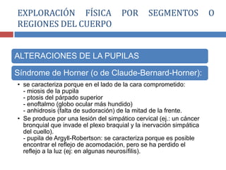 ALTERACIONES DE LA PUPILAS
Síndrome de Horner (o de Claude-Bernard-Horner):
• se caracteriza porque en el lado de la cara comprometido:
- miosis de la pupila
- ptosis del párpado superior
- enoftalmo (globo ocular más hundido)
- anhidrosis (falta de sudoración) de la mitad de la frente.
• Se produce por una lesión del simpático cervical (ej.: un cáncer
bronquial que invade el plexo braquial y la inervación simpática
del cuello).
- pupila de Argyll-Robertson: se caracteriza porque es posible
encontrar el reflejo de acomodación, pero se ha perdido el
reflejo a la luz (ej: en algunas neurosífilis).
EXPLORACIÓN FÍSICA POR SEGMENTOS O
REGIONES DEL CUERPO
 