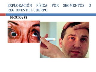 EXPLORACIÓN FÍSICA POR SEGMENTOS O
REGIONES DEL CUERPO
 