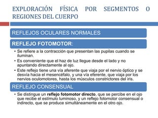 REFLEJOS OCULARES NORMALES
REFLEJO FOTOMOTOR:
• Se refiere a la contracción que presentan las pupilas cuando se
iluminan.
• Es conveniente que el haz de luz llegue desde el lado y no
apuntando directamente al ojo.
• Este reflejo tiene una vía aferente que viaja por el nervio óptico y se
desvía hacia el mesencéfalo, y una vía eferente, que viaja por los
nervios oculomotores, hasta los músculos constrictores del iris.
REFLEJO CONSENSUAL
• Se distingue un reflejo fotomotor directo, que se percibe en el ojo
que recibe el estímulo luminoso, y un reflejo fotomotor consensual o
indirecto, que se produce simultáneamente en el otro ojo.
EXPLORACIÓN FÍSICA POR SEGMENTOS O
REGIONES DEL CUERPO
 