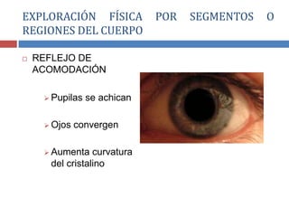  REFLEJO DE
ACOMODACIÓN
 Pupilas se achican
 Ojos convergen
 Aumenta curvatura
del cristalino
EXPLORACIÓN FÍSICA POR SEGMENTOS O
REGIONES DEL CUERPO
 