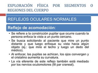 REFLEJOS OCULARES NORMALES
Reflejo de acomodación:
• Se refiere a la constricción pupilar que ocurre cuando la
persona enfoca la vista a un punto cercano.
• Se busca solicitando al paciente que mire un punto
distante y que luego enfoque su vista hacia algún
objeto (ej.: que mire el techo y luego un dedo del
médico).
• Al enfocar, las pupilas se achican, los ojos convergen y
el cristalino aumenta su curvatura.
• La vía eferente de este reflejo también está mediado
por los nervios oculomotores (III par craneal).
EXPLORACIÓN FÍSICA POR SEGMENTOS O
REGIONES DEL CUERPO
 