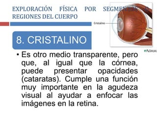 8. CRISTALINO
• Es otro medio transparente, pero
que, al igual que la córnea,
puede presentar opacidades
(cataratas). Cumple una función
muy importante en la agudeza
visual al ayudar a enfocar las
imágenes en la retina.
EXPLORACIÓN FÍSICA POR SEGMENTOS O
REGIONES DEL CUERPO
 