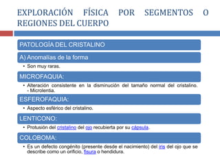 PATOLOGÍA DEL CRISTALINO
A) Anomalías de la forma
• Son muy raras.
MICROFAQUIA:
• Alteración consistente en la disminución del tamaño normal del cristalino.
- Microlentia.
ESFEROFAQUIA:
• Aspecto esférico del cristalino.
LENTICONO:
• Protusión del cristalino del ojo recubierta por su cápsula.
COLOBOMA:
• Es un defecto congénito (presente desde el nacimiento) del iris del ojo que se
describe como un orificio, fisura o hendidura.
EXPLORACIÓN FÍSICA POR SEGMENTOS O
REGIONES DEL CUERPO
 
