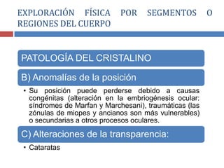 PATOLOGÍA DEL CRISTALINO
B) Anomalías de la posición
• Su posición puede perderse debido a causas
congénitas (alteración en la embriogénesis ocular:
síndromes de Marfan y Marchesani), traumáticas (las
zónulas de miopes y ancianos son más vulnerables)
o secundarias a otros procesos oculares.
C) Alteraciones de la transparencia:
• Cataratas
EXPLORACIÓN FÍSICA POR SEGMENTOS O
REGIONES DEL CUERPO
 