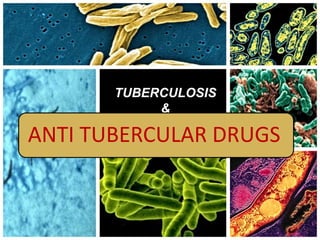 TUBERCULOSIS
&

ANTI TUBERCULAR DRUGS

 