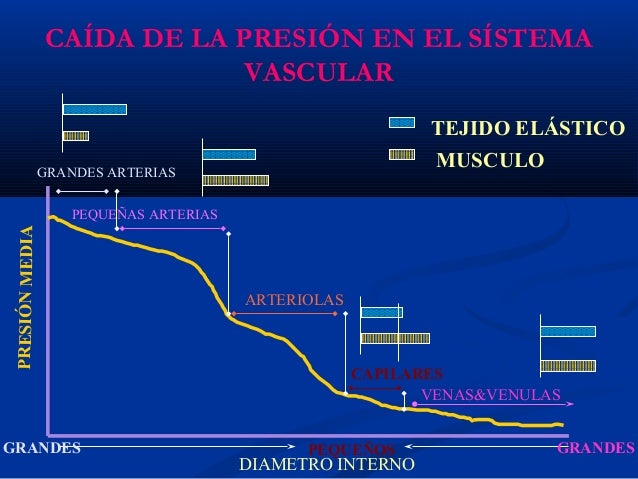 que sintomas tiene la hipertensión experiencia