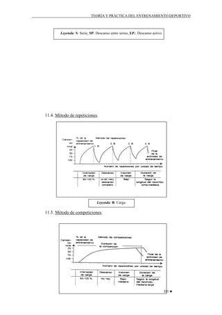 TEORÍA Y PRÁCTICA DEL ENTRENAMIENTO DEPORTIVO

Leyenda: S: Serie, SP: Descanso entre series, I.P.: Descanso activo

11.4. Método de repeticiones.

Leyenda: B: Carga

11.5. Método de competiciones.

D3 ♥

 