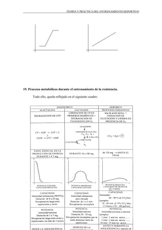TEORÍA Y PRÁCTICA DEL ENTRENAMIENTO DEPORTIVO

19. Procesos metabólicos durante el entrenamiento de la resistencia.
Todo ello, queda reflejado en el siguiente cuadro:

D3 ♥

 