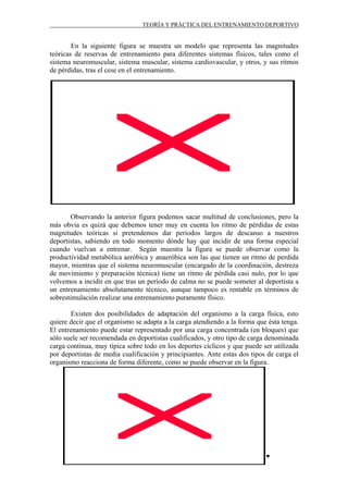 TEORÍA Y PRÁCTICA DEL ENTRENAMIENTO DEPORTIVO

En la siguiente figura se muestra un modelo que representa las magnitudes
teóricas de reservas de entrenamiento para diferentes sistemas físicos, tales como el
sistema neuromuscular, sistema muscular, sistema cardiovascular, y otros, y sus ritmos
de pérdidas, tras el cese en el entrenamiento.

Observando la anterior figura podemos sacar multitud de conclusiones, pero la
más obvia es quizá que debemos tener muy en cuenta los ritmo de pérdidas de estas
magnitudes teóricas si pretendemos dar periodos largos de descanso a nuestros
deportistas, sabiendo en todo momento dónde hay que incidir de una forma especial
cuando vuelvan a entrenar. Según muestra la figura se puede observar como la
productividad metabólica aeróbica y anaeróbica son las que tienen un ritmo de perdida
mayor, mientras que el sistema neuromuscular (encargado de la coordinación, destreza
de movimiento y preparación técnica) tiene un ritmo de pérdida casi nulo, por lo que
volvemos a incidir en que tras un período de calma no se puede someter al deportista a
un entrenamiento absolutamente técnico, aunque tampoco es rentable en términos de
sobrestimulación realizar una entrenamiento puramente físico.
Existen dos posibilidades de adaptación del organismo a la carga física, esto
quiere decir que el organismo se adapta a la carga atendiendo a la forma que ésta tenga.
El entrenamiento puede estar representado por una carga concentrada (en bloques) que
sólo suele ser recomendada en deportistas cualificados, y otro tipo de carga denominada
carga continua, muy típica sobre todo en los deportes cíclicos y que puede ser utilizada
por deportistas de media cualificación y principiantes. Ante estas dos tipos de carga el
organismo reacciona de forma diferente, como se puede observar en la figura.

D3 ♥

 