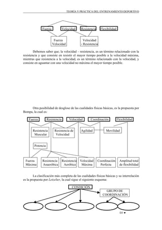TEORÍA Y PRÁCTICA DEL ENTRENAMIENTO DEPORTIVO

Fuerza

Velocidad

Fuerza
Velocidad

Resistencia

Flexibilidad

Velocidad
- Resistencia

Debemos saber que; la velocidad – resistencia, es un término relacionado con la
resistencia y que consiste en resistir el mayor tiempo posible a la velocidad máxima,
mientras que resistencia a la velocidad, es un término relacionado con la velocidad, y
consiste en aguantar con una velocidad no máxima el mayor tiempo posible.

Otra posibilidad de desglose de las cualidades físicas básicas, es la propuesta por
Bompa, la cual es:
Fuerza

Resistencia

Resistencia
Muscular

Velocidad

Resistencia de
Velocidad

Coordinación

Agilidad

Flexibilidad

Movilidad

Potencia

Fuerza
Máxima

Resistencia
Anaeróbica

Resistencia
Aeróbica

Velocidad
Máxima

Coordinación
Perfecta

Amplitud total
de flexibilidad

La clasificación más completa de las cualidades físicas básicas y su interrelación
es la propuesta por Letzelter, la cual sigue el siguiente esquema:
CONDICIÓN
GRUPO DE
COORDINACIÓN

D3 ♥

 