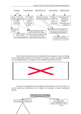 TEORÍA Y PRÁCTICA DEL ENTRENAMIENTO DEPORTIVO

FUERZA

Fuerza
Máxima

VELOCIDAD

Fuerza
Resistencia

Fuerza
Velocidad

Velocidad
reacción
Velocidad
acíclica
Velocidad
cíclica

RESISTENCIA

SOUPLESSE

Resistencia general
Resistencia específica

Dinámica
Estática

Fuerza resistencia de sprint
Fuerza resistencia de impulso
Fuerza de sprint
Fuerza resistencia de lanzamiento
Fuerza de salto
Fuerza resistencia de lucha
Fuerza de lanzamiento
Fuerza resistencia de tracción

Estática
Dinámica
Activa
Pasiva
Específica

HABILIDAD

Aprendizaje motriz
Adaptación
Adaptabilidad
Control
Habilidad general
y específica

Resistencia de corta duración
Resistencia de media duración
Resistencia de larga duración

Resistencia al sprint
Resistencia a la velocidad

Otra forma de clasificación de las cualidades físicas básicas es través del dibujo
en tres dimensiones propuesto por Gundlach, en donde se puede encuadrar cualquiera
de las cualidades básicas y cualquiera de las cualidades que derivan de éstas:

Una nueva clasificación de las cualidades físicas básicas, es la de Tschiene, el
cual la realiza esta clasificación con el objetivo de conseguir el mejor rendimiento
posible:

SISTEMA DE CONTROL

CUALIDADES FÍSICAS

CUALIDADES
DE COORDINACIÓN
D3 ♥

 