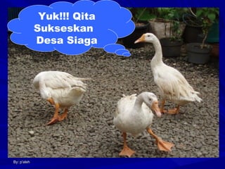 Yuk!!! Qita
Sukseskan
Desa Siaga

By: p'aleh

 