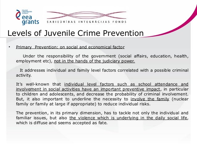 Preventing youth crime