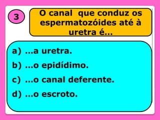 3

O canal que conduz os
espermatozóides até à
uretra é…

a) …a uretra.
b) …o epidídimo.
c) …o canal deferente.
d) …o escroto.

 