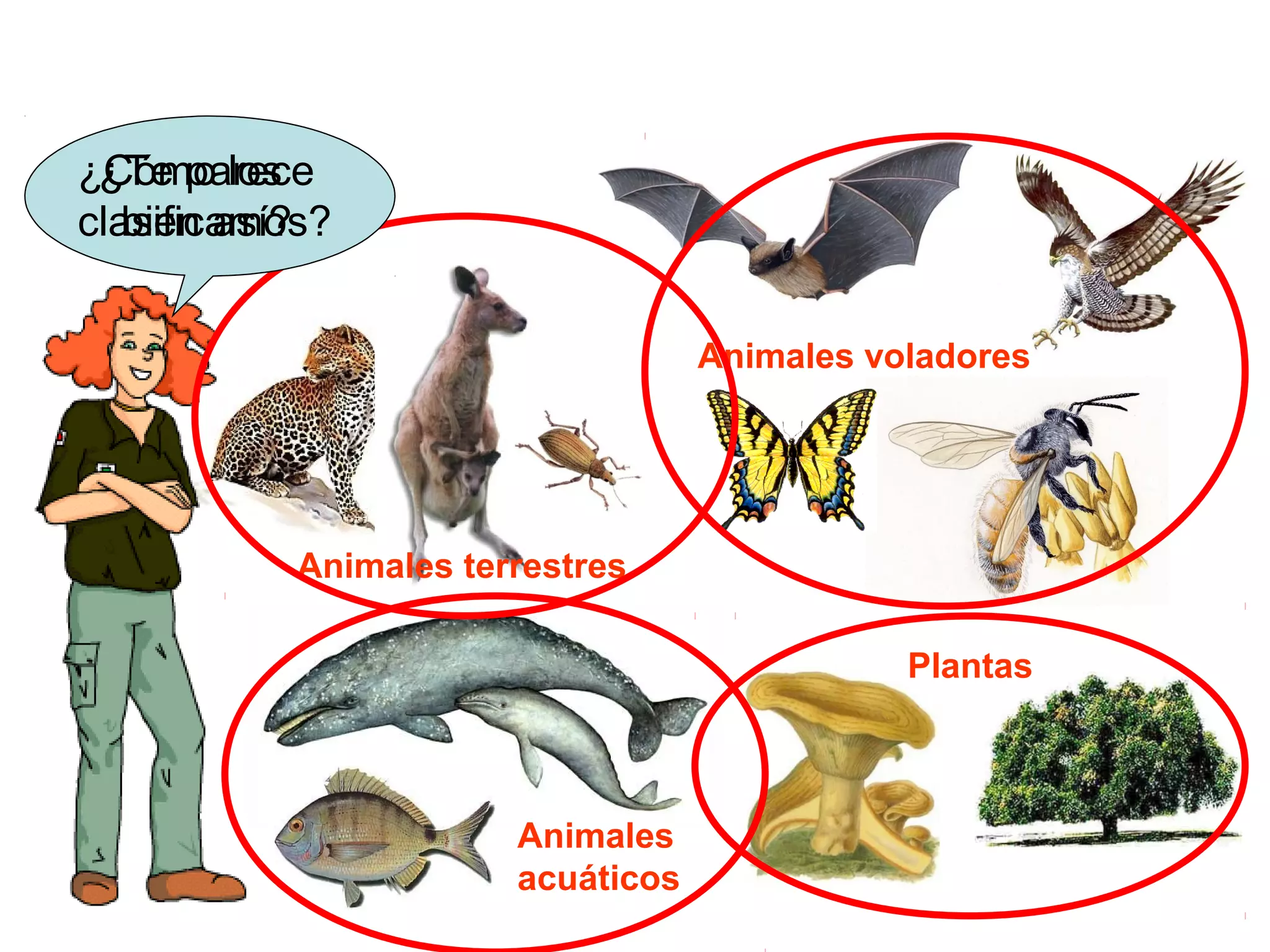 9. La biodiversidad. los cinco reinos. bacterias, protistas y hongos. | PPT