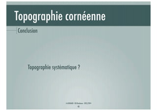 Topographie cornéenne
Conclusion

Topographie systématique ?

J-A.DOUAUD - ISO Bordeaux - 2013/2014

40

 
