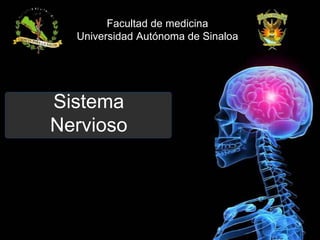 Sistema
Nervioso
Facultad de medicina
Universidad Autónoma de Sinaloa
 