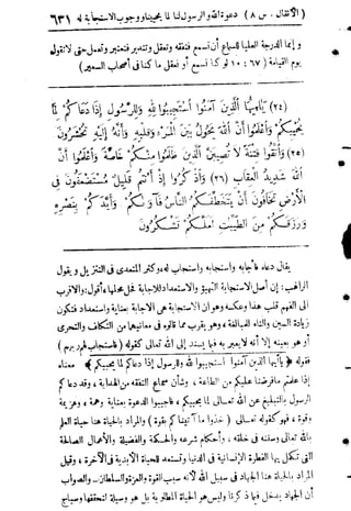 تفسير المنار للشيخ محمد رشيد رضا 9