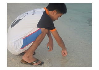 อัลบั้มปิดกล่องชอล์กหลีเป๊ะ9