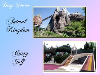 DaySeven
Animal
Kingdom
Crazy
Golf
 